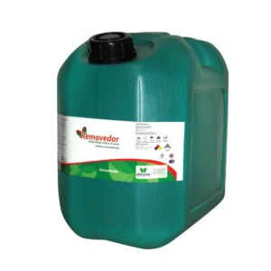 Sacasarro Daryza x Bidon