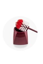 Hisopo Hude Estrella Colores Variados